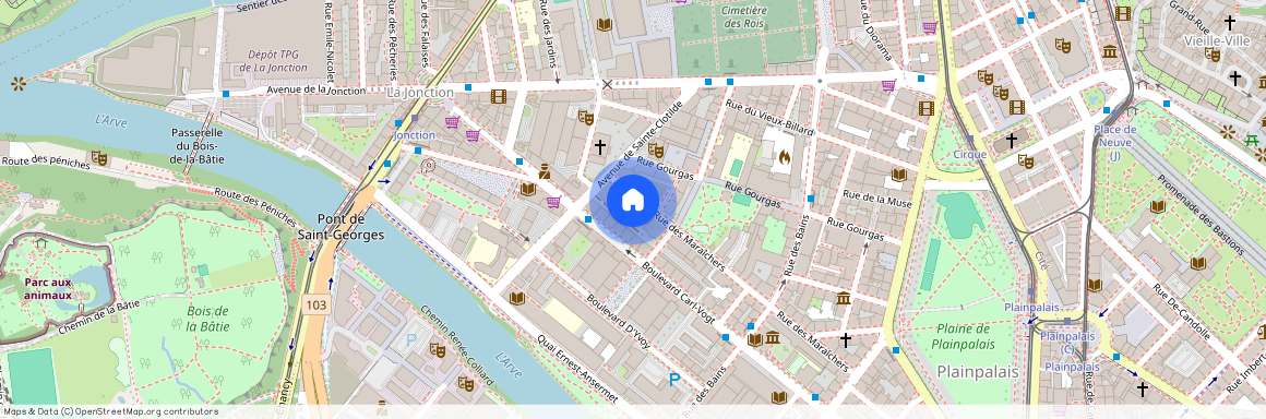 1205, GENEVE, Rue Des Maraîchers, 4