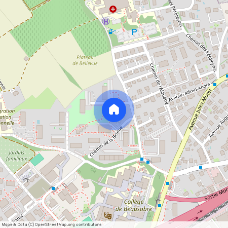 1110, Morges, Chemin De La Grosse-Pierre, 5