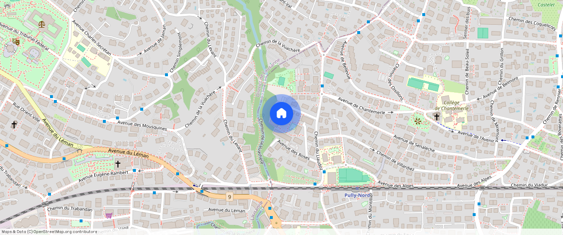 Chemin du Liseron **, 1009, Pully