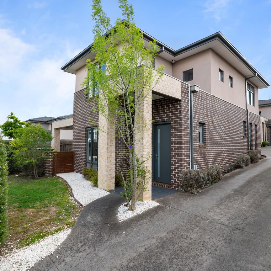 1/39 Neville Street, Box Hill South VIC 3128 - House For Rent | Domain - Photo 1