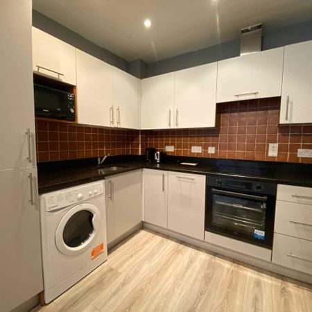 Alderwood Lawn, Springfield, Dublin 24 (Double Room To Rent) - Photo 3