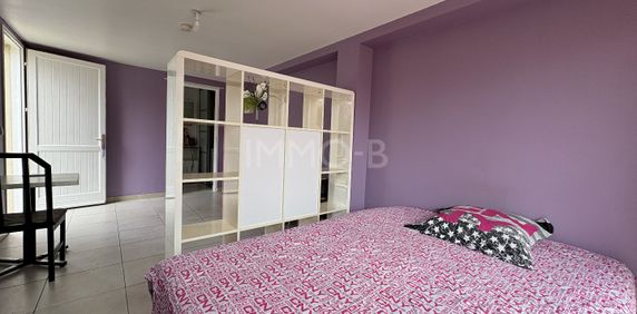 Location Appartement 1 pièce 25m² RAMONVILLE ST AGNE 31520 - Photo 2