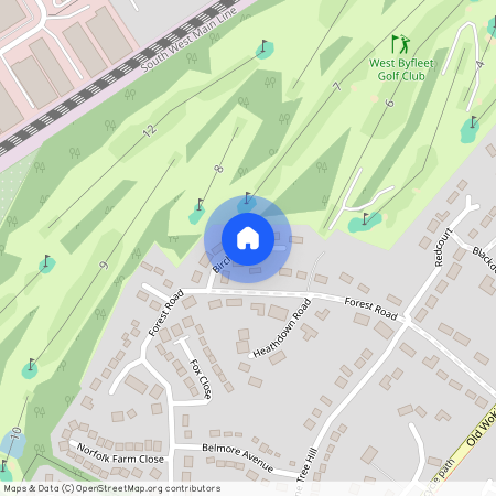 Birch Grove, Pyrford, GU22