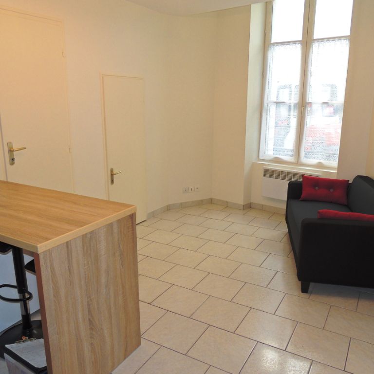 APPT T2 MEUBLE - BLOIS VIENNE - Photo 1