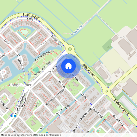 Krokus, 2215SW, Voorhout