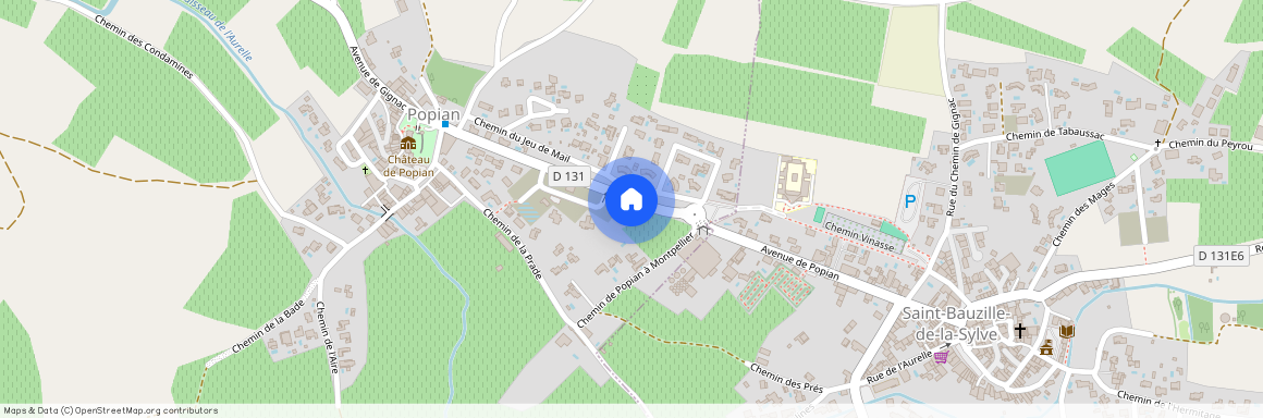 OCCITANIE, HERAULT (34), 34230, St Bauzille De La Sylve