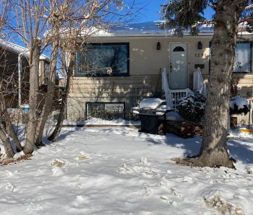 Renfrew Bright Spacious Inner City Suite — 1 Bedroom Duplex - Photo 1