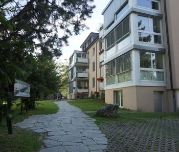 Schöne 2-Zimmerwohnung mit Dachterrasse am Rande des Dorfzentrums v... - Photo 5