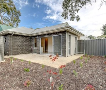 Contemporary courtyard home - Photo 3