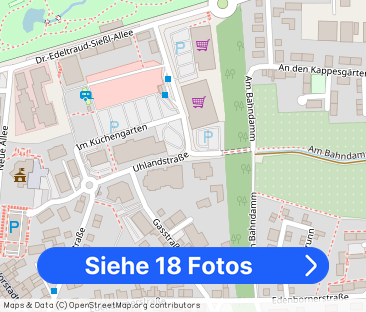EUPORA® Immobilien: Wohnung mit Dachterrasse in Kirchheimbolanden. - Foto 1