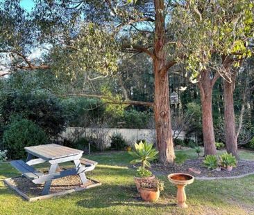 7 Palana Street, SURFSIDE NSW - Photo 4