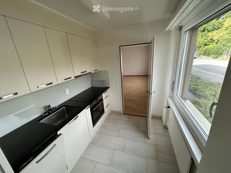 1.5-Zimmer-Wohnung in Zürich-Albisgüetli zu vermieten - Foto 3