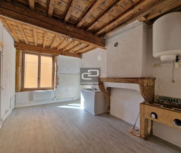 Location Appartement 2 pièces 29m² COUZON AU MONT D OR 69270 - Photo 6