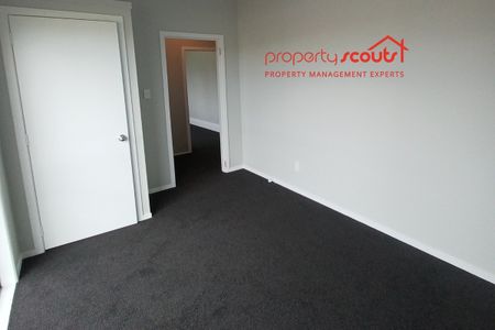 Newly Renovated - Photo 4