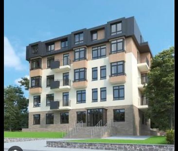 Ich suche eine Wohnung. - Photo 1