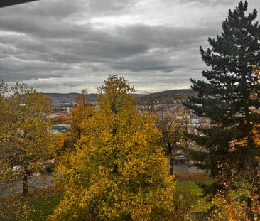 Helle, großzügige Wohnung mit Ausblick am Stuttgarter Killesberg - Photo 1