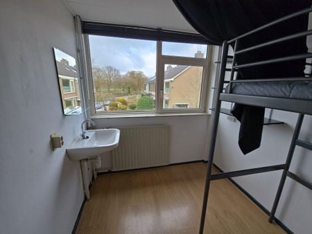 Te huur: Kamer Tangostraat in Nijmegen - Foto 4