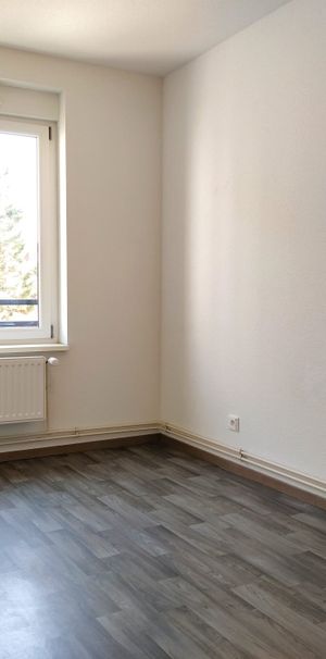 Un charmant 2 pièces en très bon état – Neudorf / rue Saint-Aloïse - Photo 1