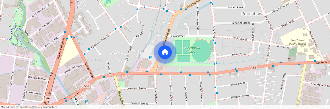 986 Punchbowl Road, Punchbowl, NSW 2196