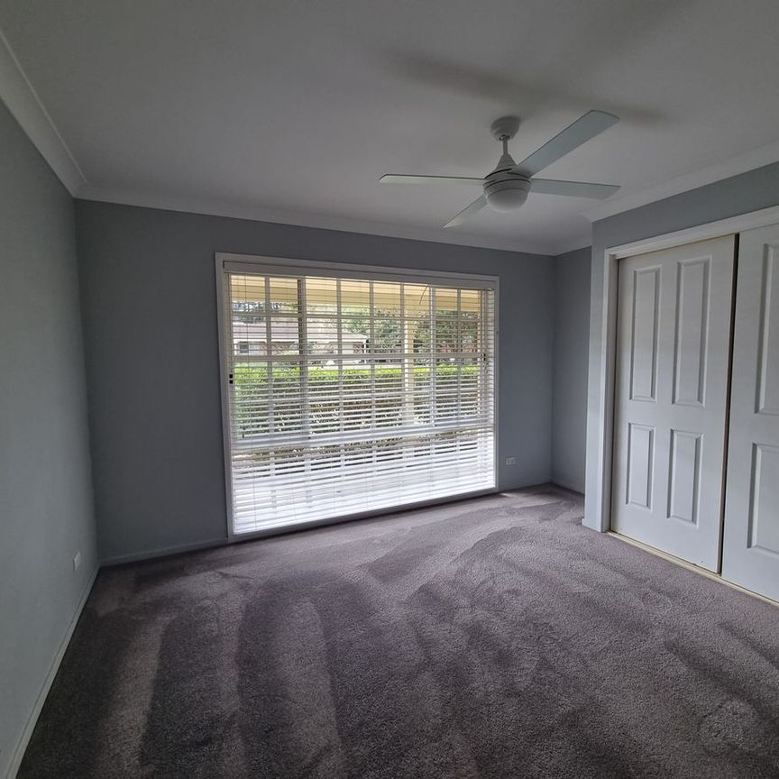 Family Comfort in Clarence Street - Photo 1