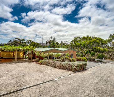 Open The Door to A Gardeners Dream - Photo 6