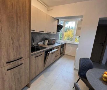 Închiriere apartament Premium, 2 camere, Cornișa, 100m de UMF - Photo 3