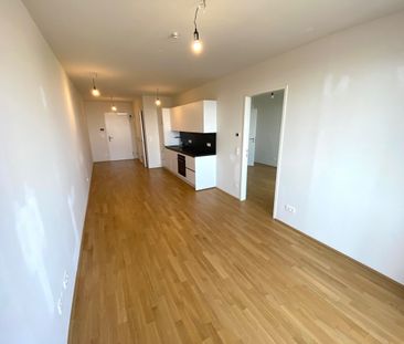 + BelView Apartments + provisionsfrei mit Fitness und Sauna - Photo 6