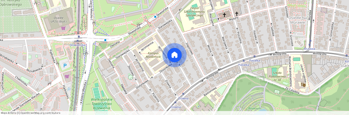 ul. Ozimina, Winogrady, Stare Miasto, Poznań, wielkopolskie