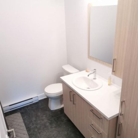 4 1/2 À LOUER - BERTHIERVILLE - APPARTEMENT À LOUER - Photo 4