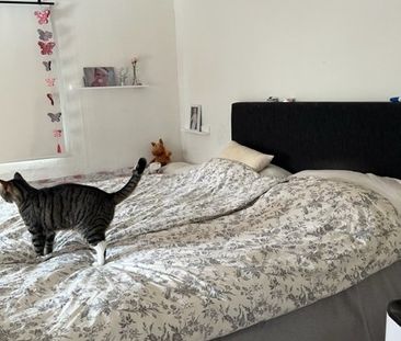 Trollhättevägen, Sjuntorp - Photo 5