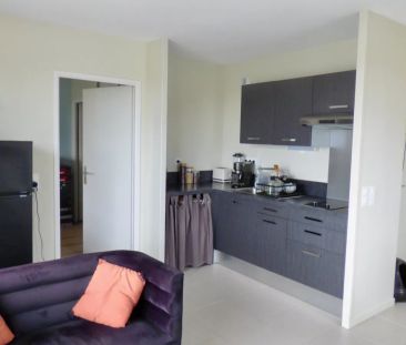 EXCLUSIVITÉ - Location appartement meublé 2 pièces 41 m² avec terra... - Photo 3