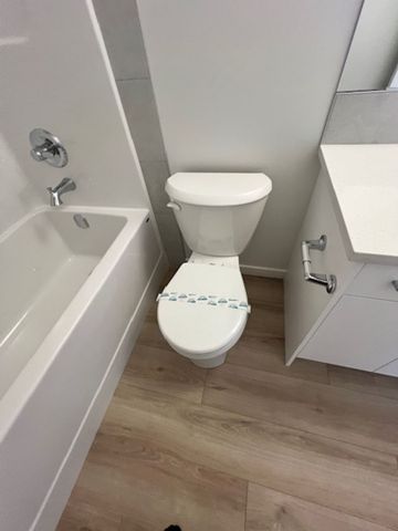 Beautiful 3 Bedroom home in Wolf Hollow - Photo 3