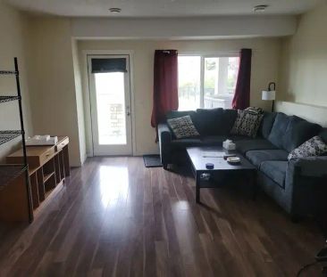 Cosy basement for Rent in Sherwood | Calgary - Photo 1