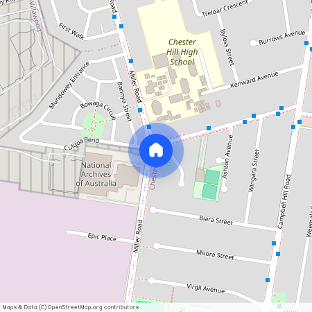 25 Curtis Road, Chester Hill 2162, New South Wales