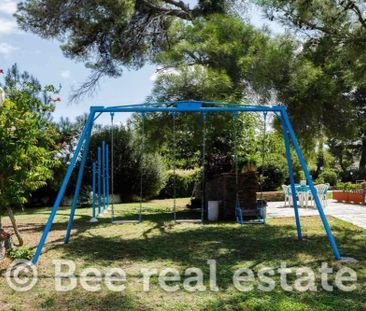 Μονοκατοικία για ενοικίαση Πολύχρονο (Παλλήνη) - Photo 2