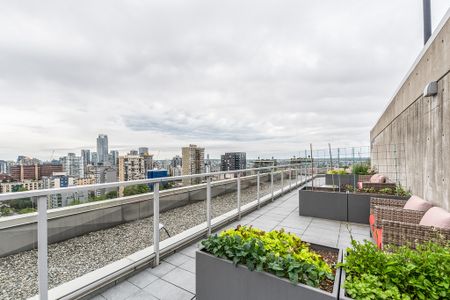 The Lauren - Photo 3