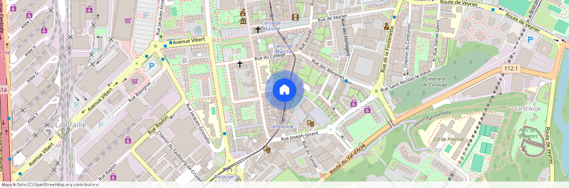 Rue Ancienne 34, 1227 CAROUGE