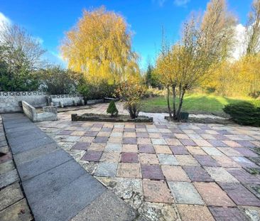 3 bedroom detached bungalow to rent - Photo 4