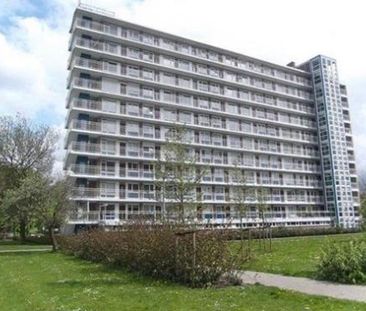 Burgemeester Hazenberglaan 3078 Rotterdam - Foto 5