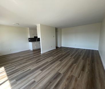 Newly Renovated Second Floor Apartment in White Rock - Photo 4