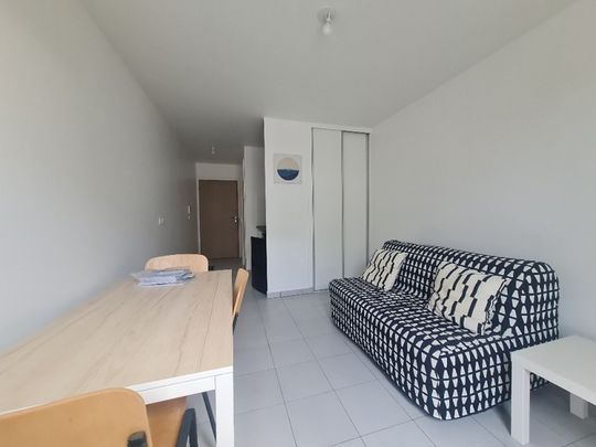 Location Appartement 1 pièce 20m² LYON 7ème - Photo 1