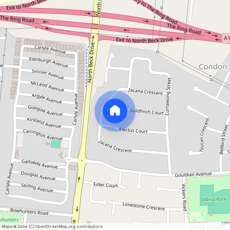 20 Electus Street, Qld 4815, Condon