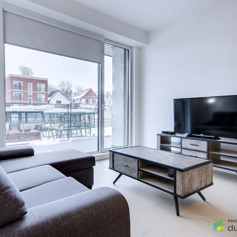 78-88 rue Dollard-des-Ormeaux - Unité 3 ½ - Le Vibe, Gatineau (Hull) à louer - Photo 1