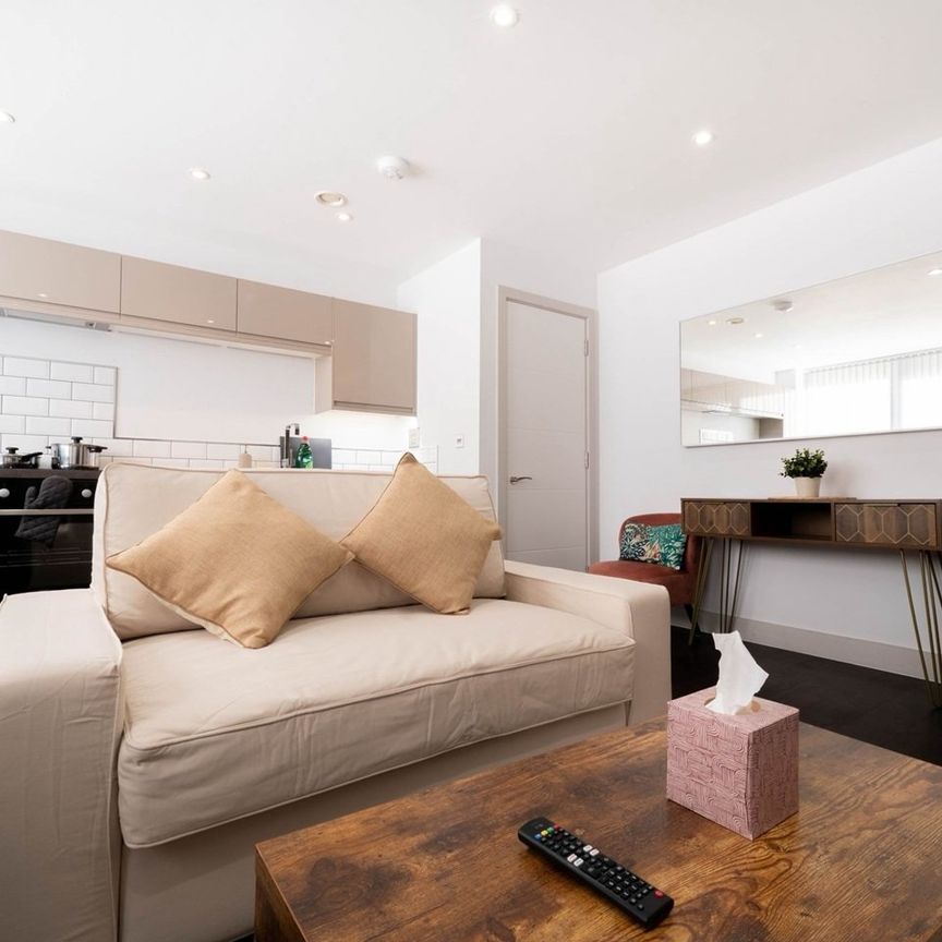 2 Bed Flat, The Fitzgerald, S3 - Photo 1
