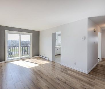 Appartement 3 ½ à louer Lévis juillet 2026 - Photo 3