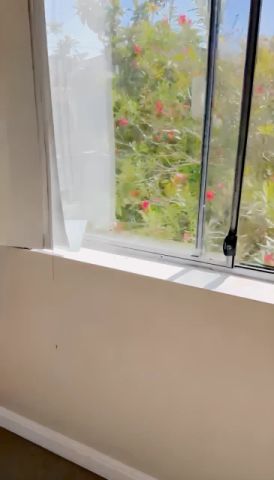 22 Kennedy St, Sydney - Photo 5