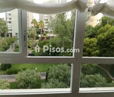 Piso en alquiler en Calle Avenida Costa Blanca, 102 - Foto 4