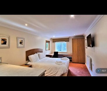 Studio to rent - Photo 3