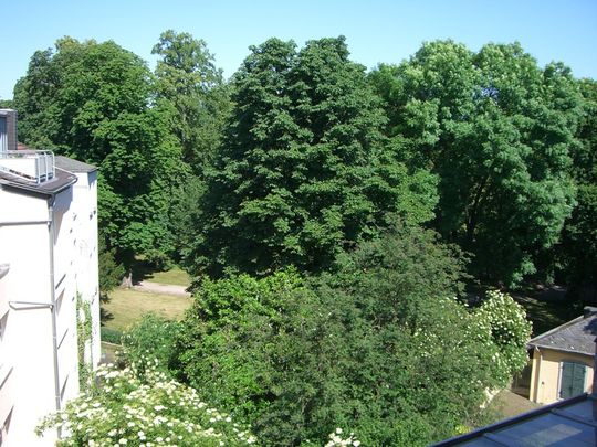 Gemütliche 2-Zimmer-Gründerzeitwohnung mit Wohnküche im Bonner Musikerviertel - Photo 1