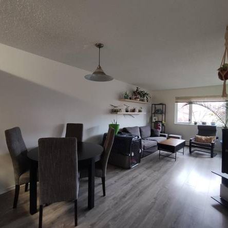 One Bedroom Apartment in the heart of Kitsilano - Photo 1